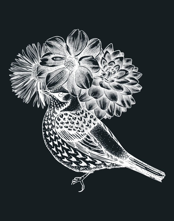 Hand-sketched bird with autumn flowers illustration on chalkboard. Fall design with birds, florals, geometric shapes, and abstract elements. Can be used for print, poster, wall art, social media